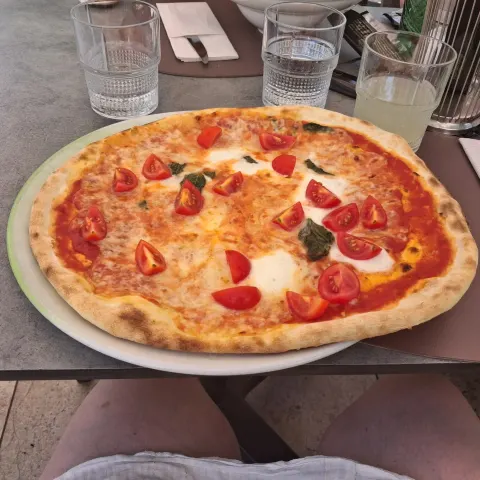 A wood fired margherita with a blistered crust