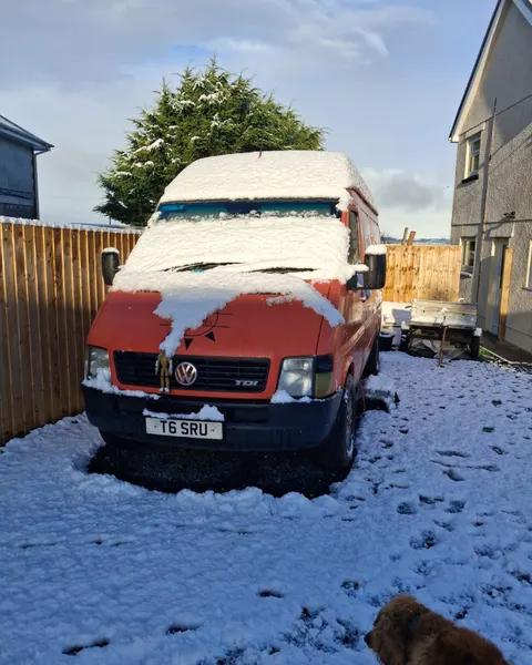 Ferdie covered in snow